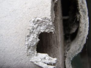 asbestos